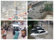 Heavy Monsoon Rains Paralyse Karachi, At Least Seven Dead