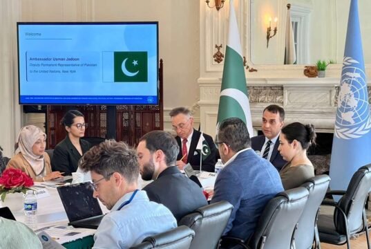 Pakistan Pushes for Global Action on Hepatitis at UN Meeting as WHO Flags Major National Burden