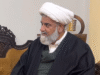 Senate Opposition Leader Raja Nasir Abbas Files Privilege Motion Against Barakahu SHO